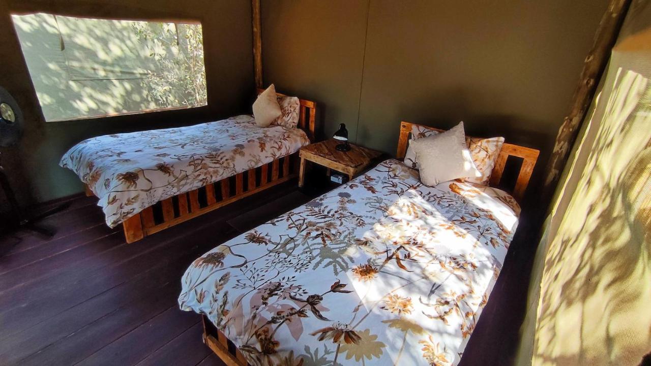 Elephant Trail Guesthouse And Backpackers Kasane Kültér fotó