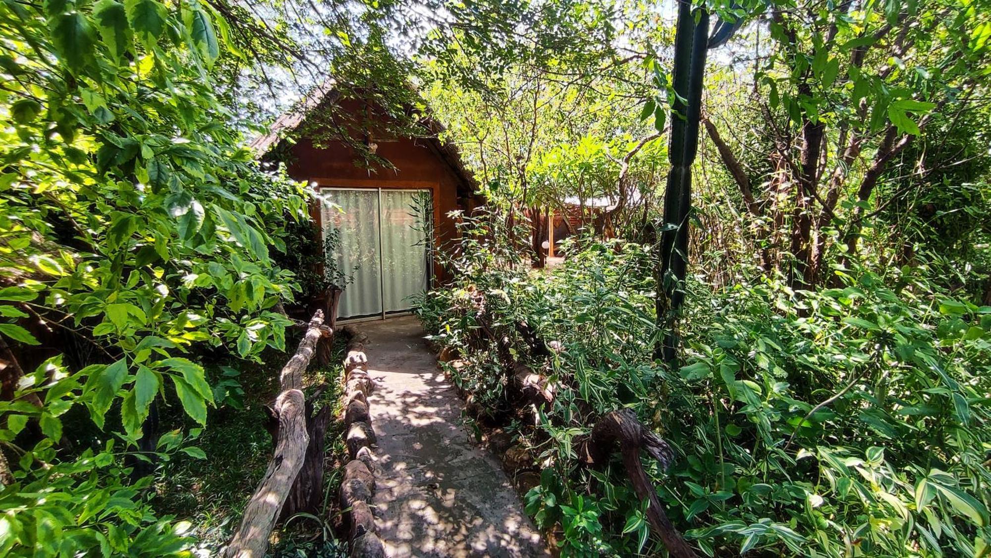 Elephant Trail Guesthouse And Backpackers Kasane Kültér fotó