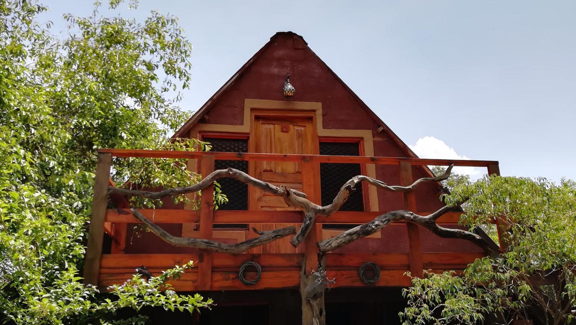 Elephant Trail Guesthouse And Backpackers Kasane Szoba fotó