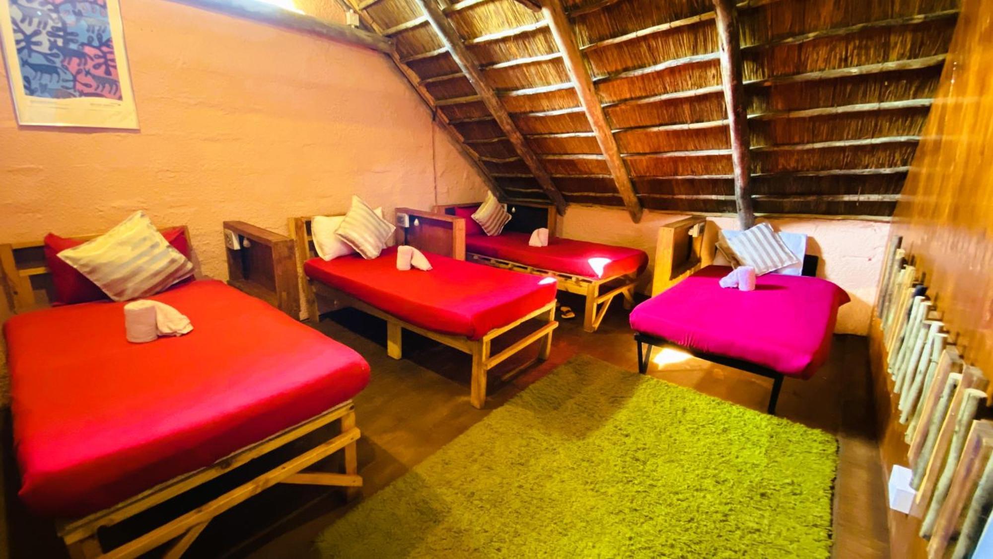 Elephant Trail Guesthouse And Backpackers Kasane Szoba fotó