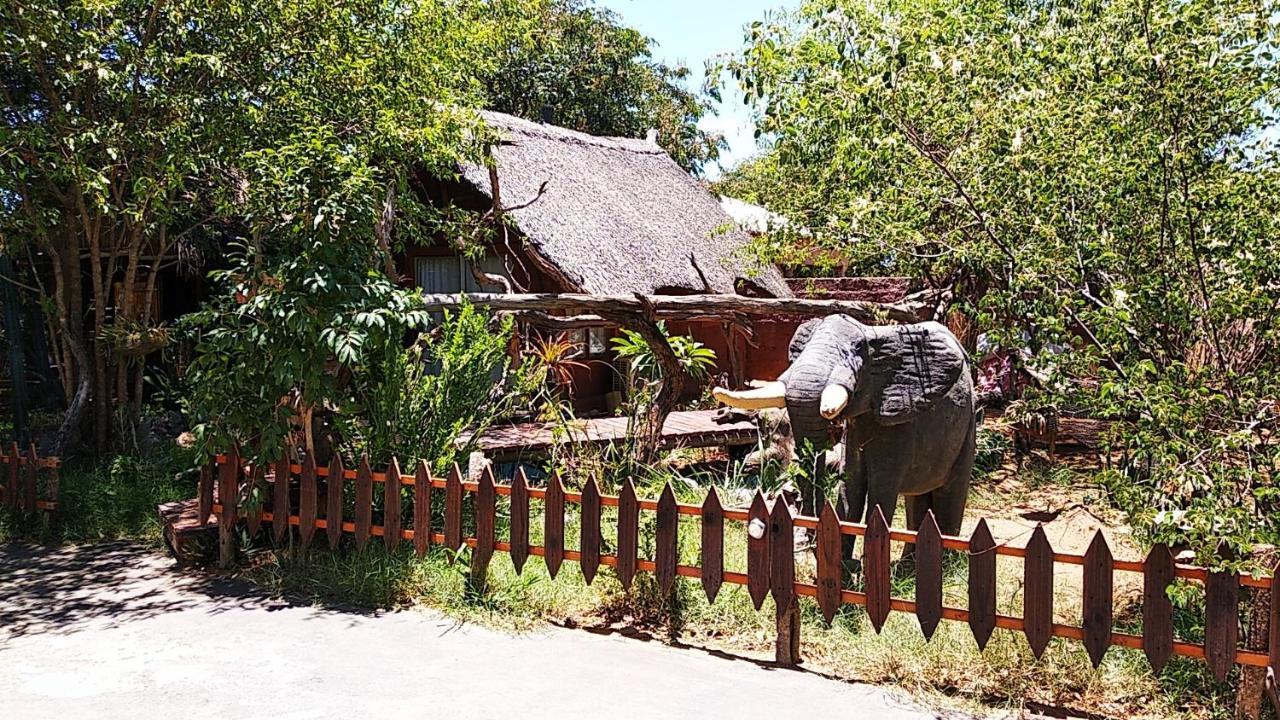 Elephant Trail Guesthouse And Backpackers Kasane Kültér fotó